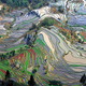 Illustration for article titled This Gorgeous Stained Glass Landscape Is Actually a Rice Field